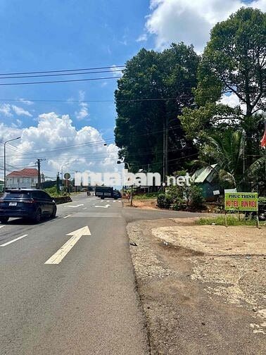 🌿 CHỈ 1,3 TỶ – SỞ HỮU NGAY LÔ ĐẤT ĐẸP XÂY NHÀ VƯỜN | 20 PHÚT ĐẾN NÚI C