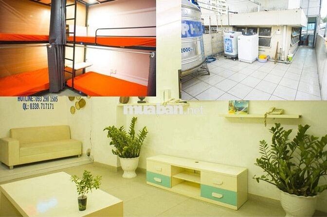 Đại học Y Dược UMP Phòng ghép Ngành Y Sinh viên Văn phòng Hồng Bàng