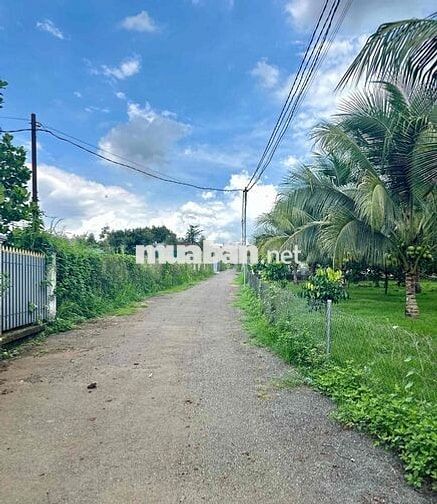 🌿 CHỈ 1,3 TỶ – SỞ HỮU NGAY LÔ ĐẤT ĐẸP XÂY NHÀ VƯỜN | 20 PHÚT ĐẾN NÚI C