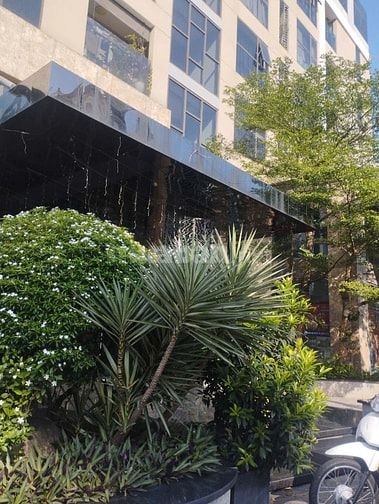 Ann về Úc bán căn góc Cc 243a Nguyễn Thượng Hiền 2PN-2WC SHCC 