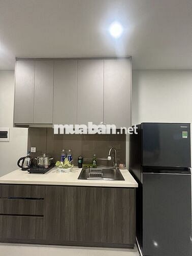 Cho thuê căn hộ Lavida Plus chỉ 9tr