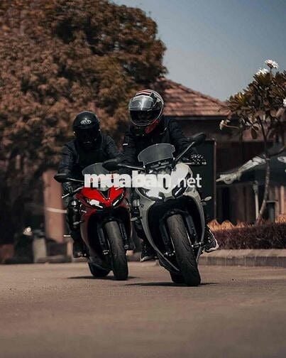 Triumph Daytona 660 2025 Đen mờ