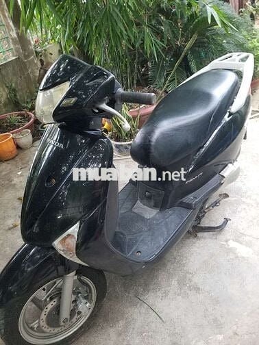 Honda Lead Đen Xăng
