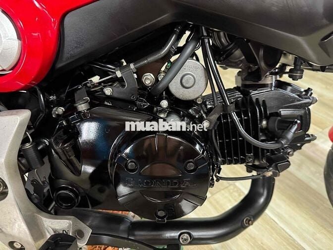 Honda MSX Thái Lan màu Đỏ