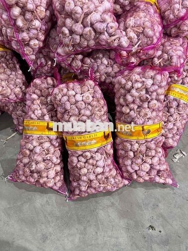 Lương Ngày - Công Việc Phân Loại Hành Tỏi