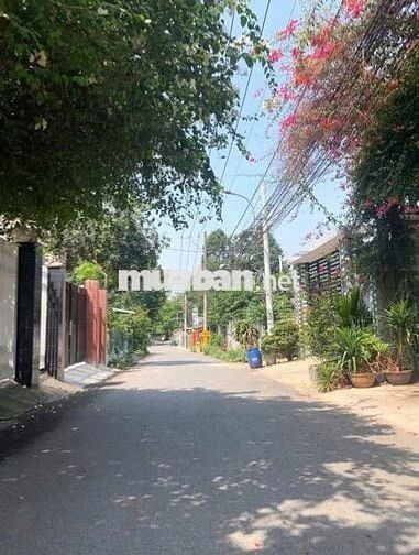 Bán gấp lô đất 186m2 - 1 tỷ250 đường Nguyễn Văn Khạ Tân An Hội Củ Chi