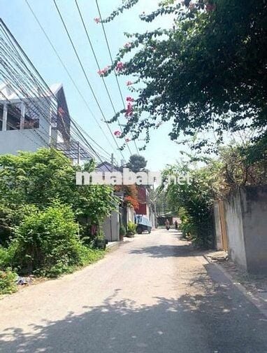 Bán gấp lô đất 186m2 - 1 tỷ250 đường Nguyễn Văn Khạ Tân An Hội Củ Chi