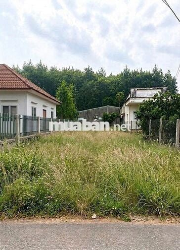 Bán gấp lô đất 186m2 - 1 tỷ250 đường Nguyễn Văn Khạ Tân An Hội Củ Chi