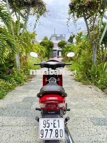 🛵Honda Wave Alpha 2008 Đỏ Zin Chính Chủ