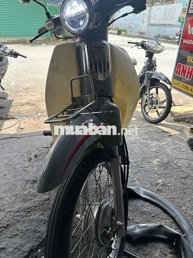 Honda Cup 86 50cc Xám trắng