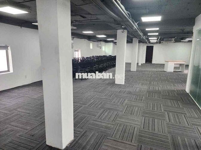 Cho thuê VP Mạc Đĩnh Chi 180m2 full fitout cho 50 người