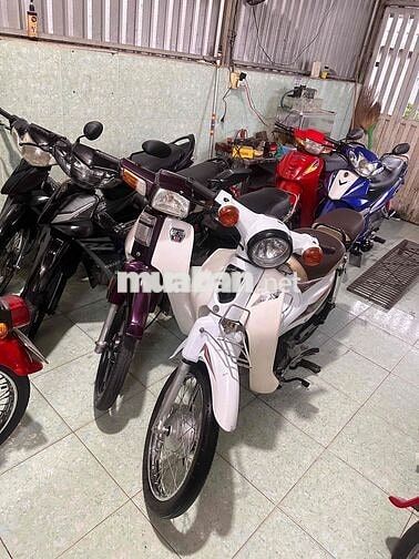 Cub 81/50cc Số máy 85 đầu bstinh17 cavec xanh gtdd