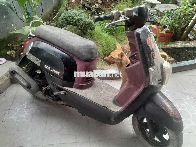Yamaha Cuxi Đỏ đô..bán xác..giá 2tr600k ae tự hiểu