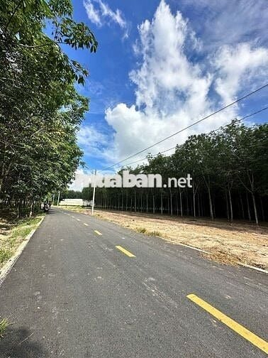 Đất chính chủ, dt 5x20, pháp lý chuẩn, hỗ trợ ngân hàng tối đa 1 tỏi