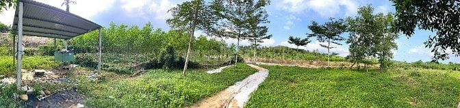 Cho thuê hoặc bán trang trại du lịch view sông siêu đẹp, Hòa Vang, ĐN