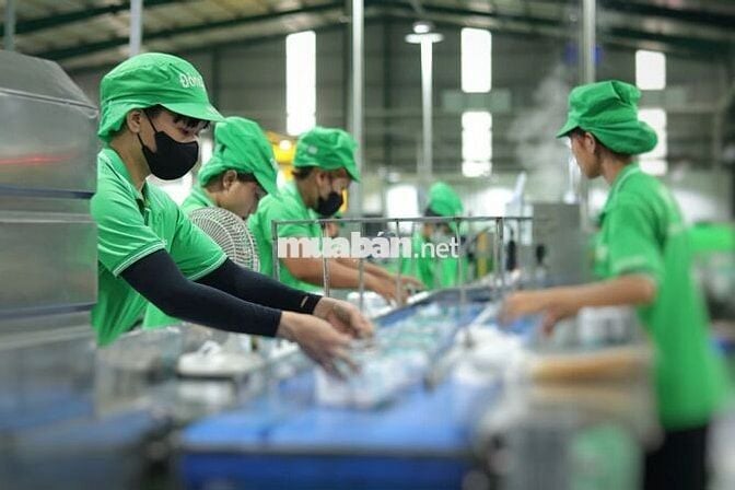 🔥CTY NƯỚC GIẢI KHÁT - ĐC ỨNG LƯƠNG TUẦN - 10-13TR🔥