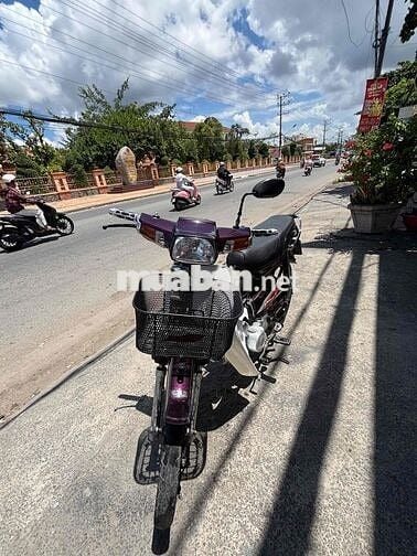 Honda Dream I Đỏ mận