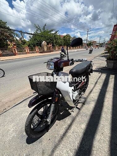 Honda Dream I Đỏ mận