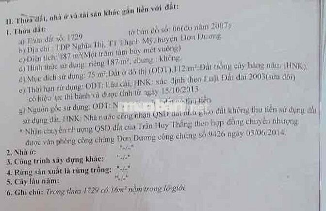 bán đất mặt tiền đường Lê Văn Tám, TT Thạnh Mỹ, Đơn Dương, Lâm Đồng