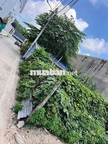 Bán đất 2 mặt tiền đường DT760 gần trường THPT Tây Nam , SHR hợp DT