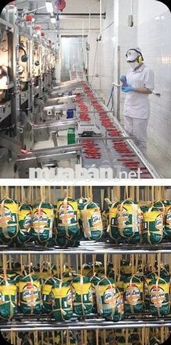 Tuyển NAM công nhân thưởng 2tr2 nhà máy thực phẩm