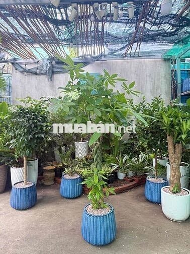 TUYỂN DỤNG NHÂN SỰ - ĐI LÀM NGAY