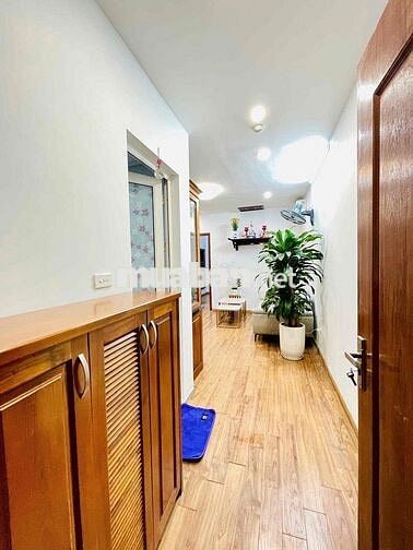 cần bán căn 1 ngủ 1 vệ sinh CT11 chung cư kim văn kim lũ