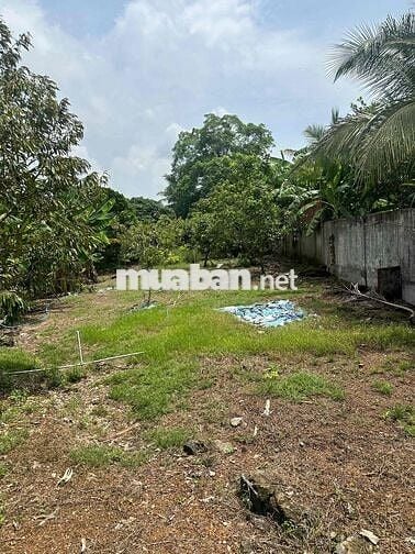cần bán miếng đất đồng nai hơn 2000000000