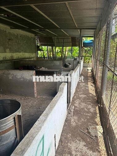 cần bán miếng đất đồng nai hơn 2000000000