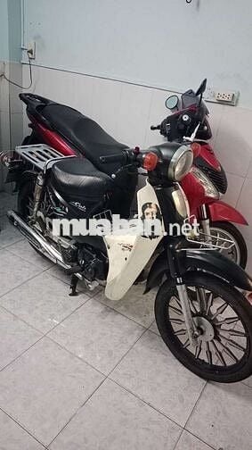 Honda Cub 50