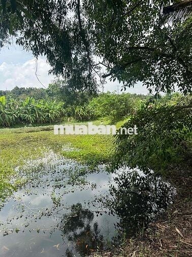 cần bán miếng đất đồng nai hơn 2000000000