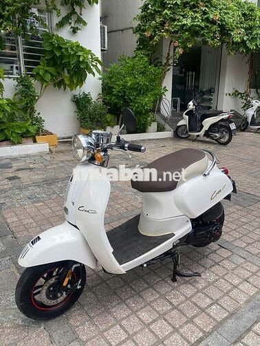 Honda Crea 50cc 2024
