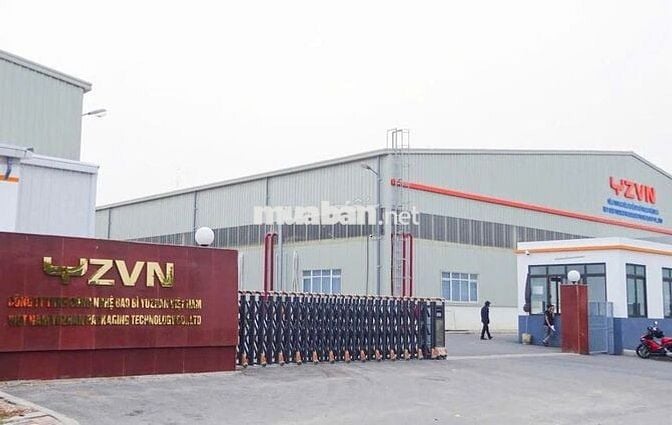 Việc làm chính thức đi làm ngay