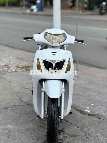 Honda SH Trắng