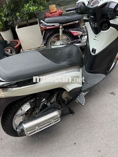 Honda SH Ý Trắng