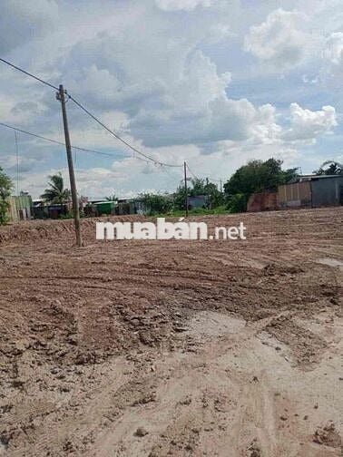 🔥 CHÍNH CHỦ BÁN – ĐẤT BÀ ĐIỂM HÓC MÔN – 640m² CÓ THỔ CƯ – CHỈ 5 TỶ