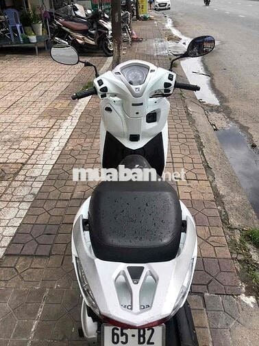 Honda Lead Trắng