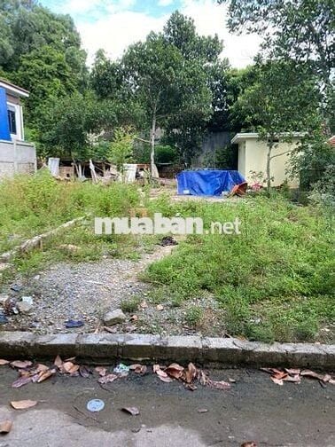CHÍNH CHỦ BÁN CẮT LỖ ĐẤT ĐẸP– CHÍNH MỸ - THUỶ NGUYÊN