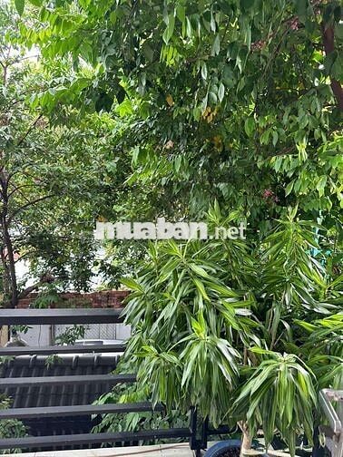 Nhà Hẻm Xe Hơi Vô Nhà 5x20 2Lầu 3pn 2wc 