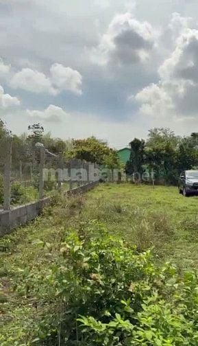  Bán lô đất 2 mặt tiền Phước Thạnh Củ Chi 135m2 giá chỉ 1 tỷ