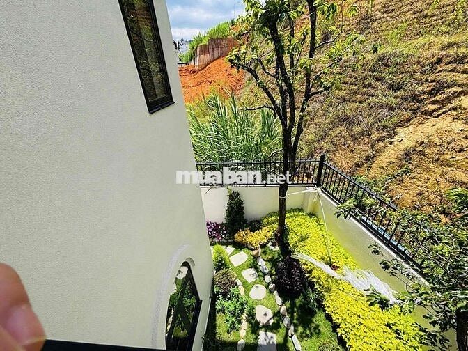 Tìm chủ nhân cho căn villa sân vườn đường an sơn phường 4