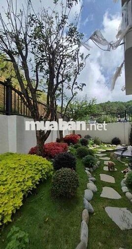 Tìm chủ nhân cho căn villa sân vườn đường an sơn phường 4