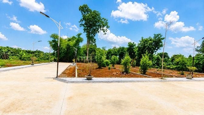 Đất Biển Giá Rẻ Tại Cửa Tùng – Chỉ Từ 3xx Triệu