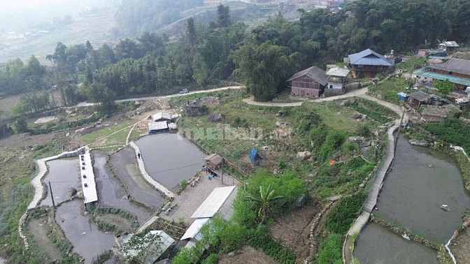 Đất Nền Sa Pa 400m² Thổ Cư – Lý Tưởng Làm Homestay & Nghỉ Dưỡng 