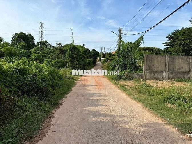 Dãy F0 Trưng Nữ Vương giá đầu tư - chỉ từ 1,1** tỷ