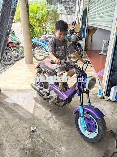 Honda Chaly 100cc Tím