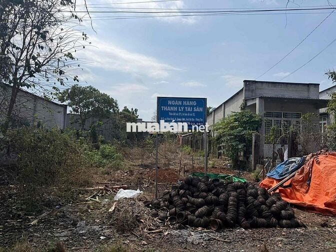Đất nền tại Xã Hòa Bình, Xuyên Mộc, Bà Rịa Vũng Tàu giá 1.508 tỷ
