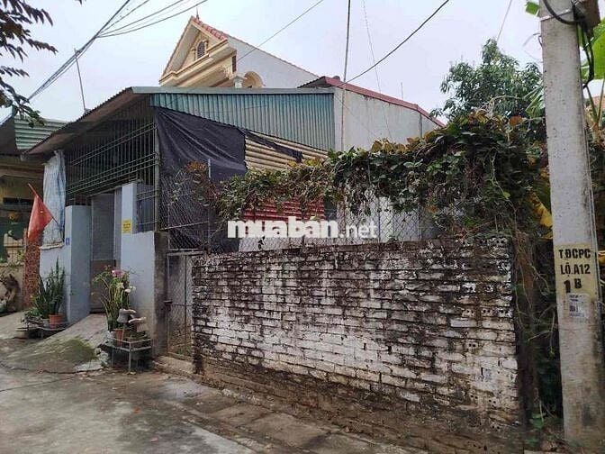 BÁN ĐẤT TẶNG NHÀ CẤP 4 200m vuông