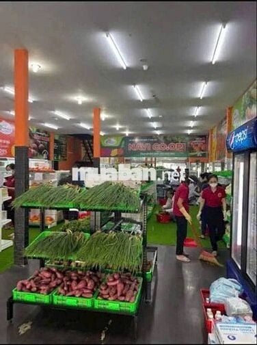 Cho thuê nhà mặt tiền  Đường Số 5, P17,Gò Vấp -Diện tích: 8m × 21 m