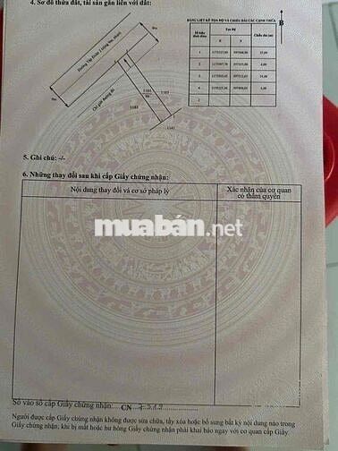 Đất thổ cư mặt tiền đường Tập Đoàn 2, Tân Kim Cần Giuộc